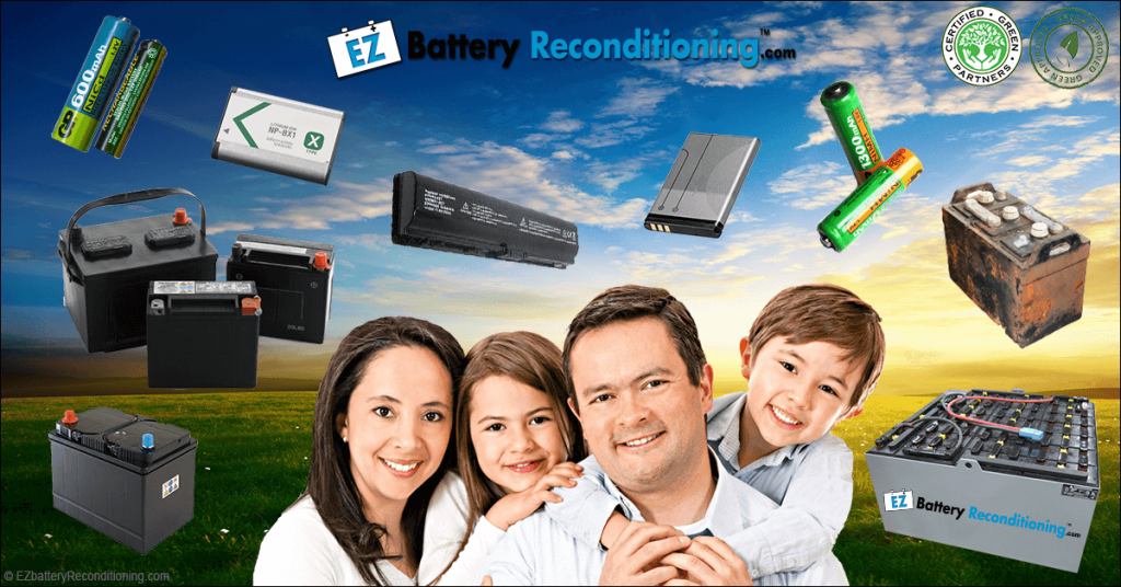 EZ Battery Reconditioning™ Image